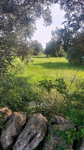 Terreno agricolo in commerciale in Via per Floridia