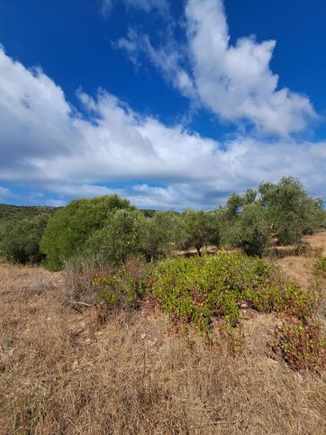 Terreno agricolo in commerciale in Strada Vicinale Maristella