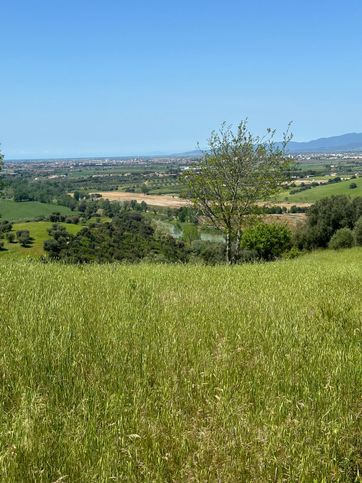 Terreno agricolo in commerciale in Strada Provinciale Sante Mariae