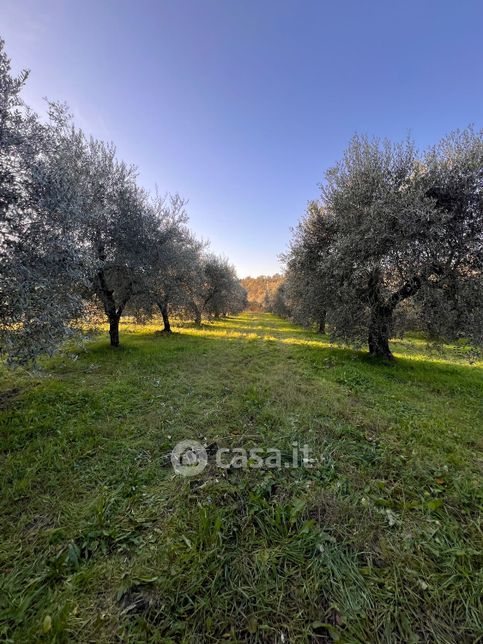 Terreno agricolo in commerciale in Via Nazionale