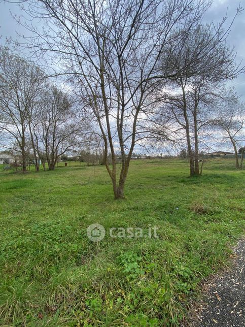 Terreno agricolo in commerciale in Strada Litoranea 3744