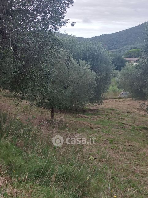 Terreno agricolo in commerciale in Strada DELL'OSSERVATORIO