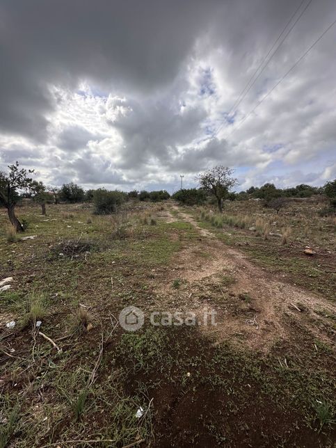 Terreno agricolo in commerciale in Via Monti Climiti