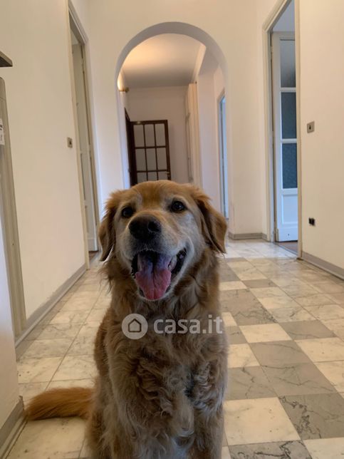 Appartamento in residenziale in Via Antonio Bertola 5