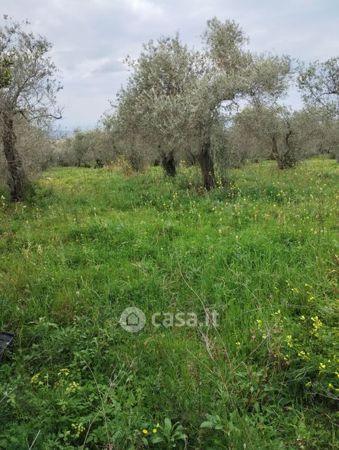 Terreno agricolo in commerciale in Strada Vicinale Taniga Baldella