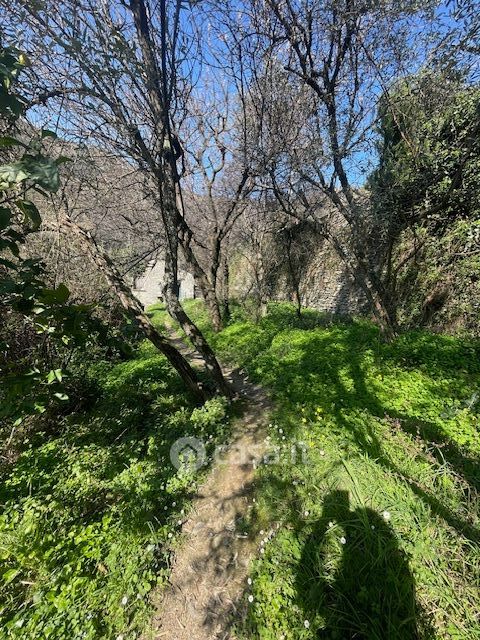 Terreno agricolo in commerciale in Via dei Turchi 15