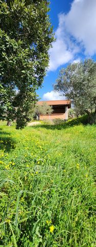 Casa indipendente in residenziale in Strada Vicinale San Quirico 27
