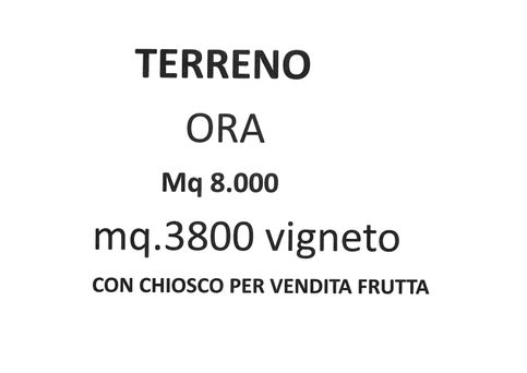 Terreno agricolo in commerciale in 