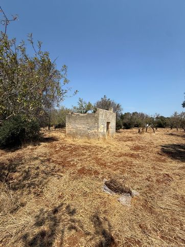 Rustico/casale in residenziale in Contrada Arrighi