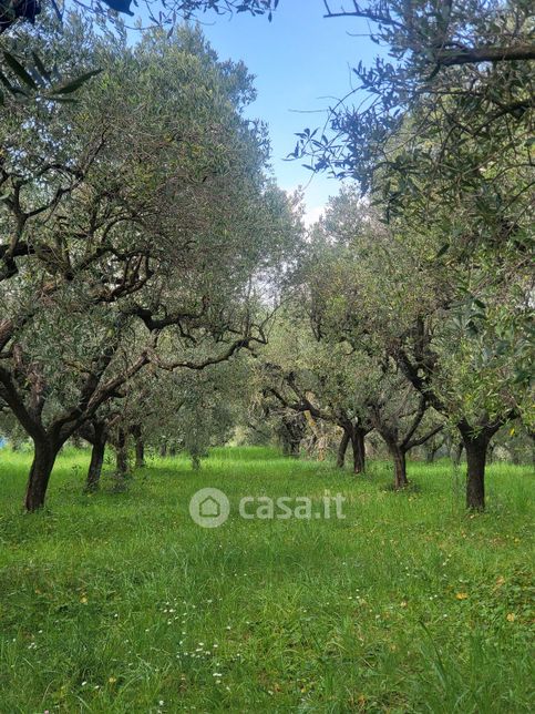 Terreno agricolo in commerciale in Via dei Rutuli 47