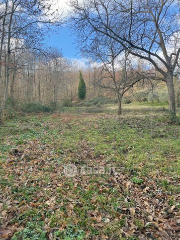 Terreno agricolo in commerciale in Via Calcara Muratelle