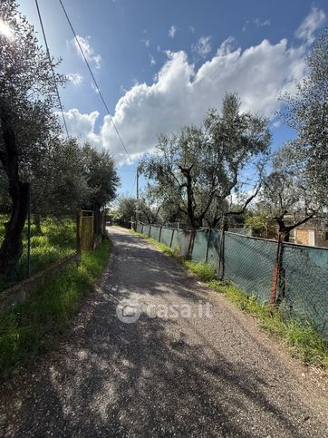 Terreno agricolo in commerciale in Strada dei Vassi