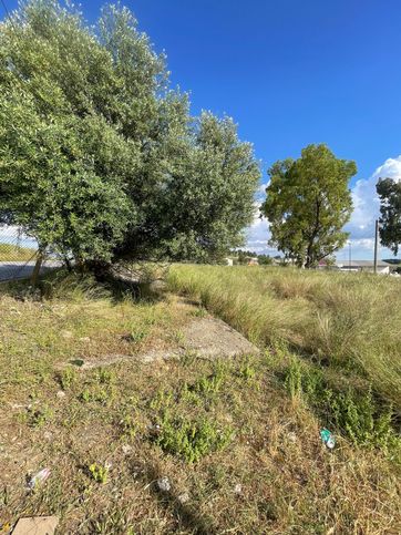 Terreno agricolo in commerciale in Strada Provinciale 134 43