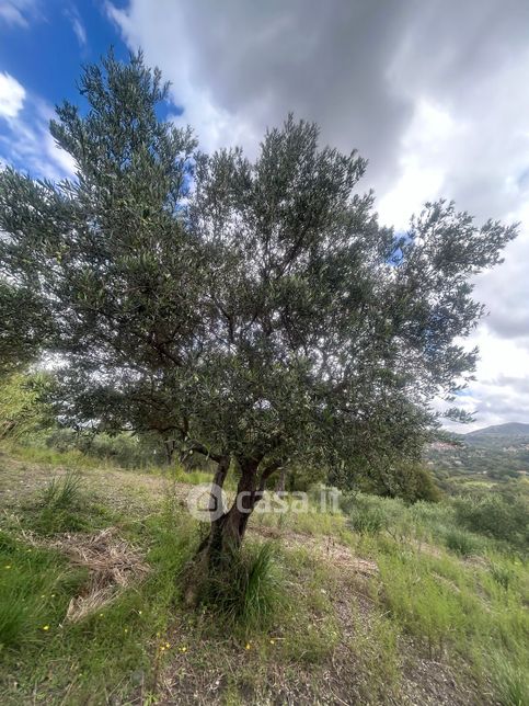 Terreno edificabile in residenziale in Strada Bamonte