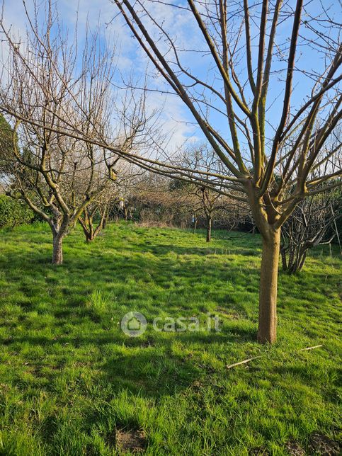 Terreno agricolo in commerciale in Sentiero Morti della Brughiera