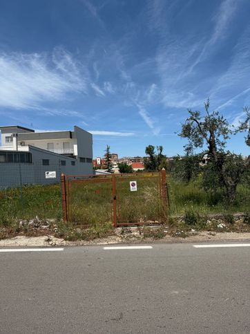 Terreno agricolo in commerciale in Strada Provinciale 23
