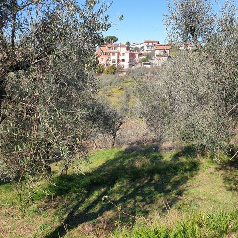 Terreno agricolo in commerciale in Via tor paluzzi