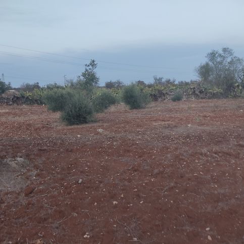 Terreno agricolo in commerciale in Strada Comunale San Biagio 31