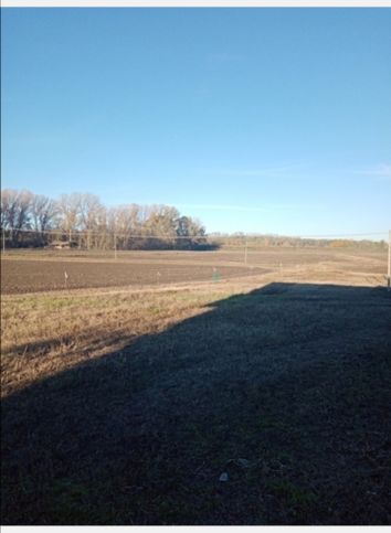 Terreno agricolo in commerciale in Cascina Brunoria