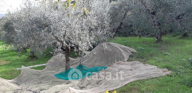 Terreno agricolo in commerciale in Strada Comunale del Sodo