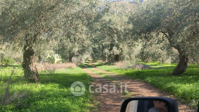 Terreno agricolo in commerciale in SP 1 51