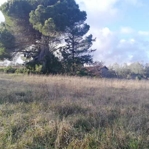 Terreno agricolo in commerciale in strada trinita