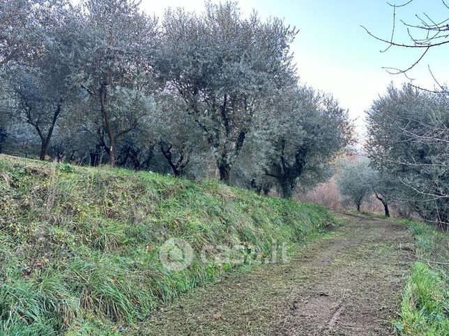 Terreno agricolo in commerciale in Via Casilina Sud