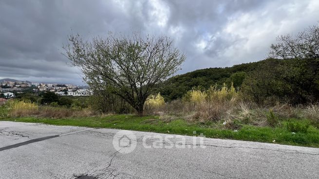 Terreno agricolo in commerciale in Contrada Macchia Romana