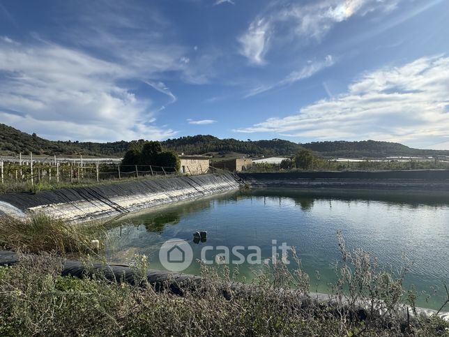 Terreno agricolo in commerciale in 