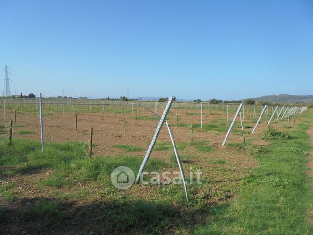 Terreno agricolo in commerciale in LocalitÃ  le Casette