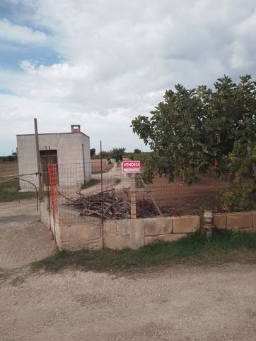 Terreno agricolo in commerciale in Contrada medico di maglie 1