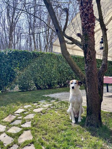 Villetta a schiera in residenziale in Via Francesco Petrarca