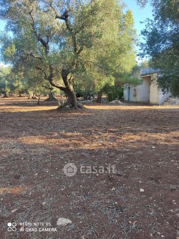 Terreno agricolo in commerciale in Contrada Guappi-Falghero f