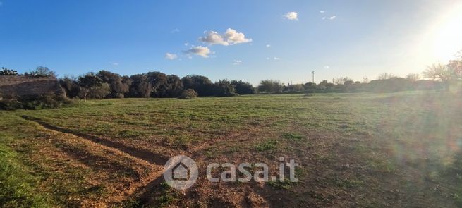 Terreno agricolo in commerciale in SP25