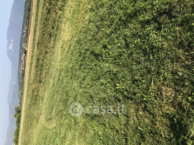 Terreno agricolo in commerciale in 