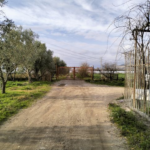 Terreno agricolo in commerciale in Via Prato