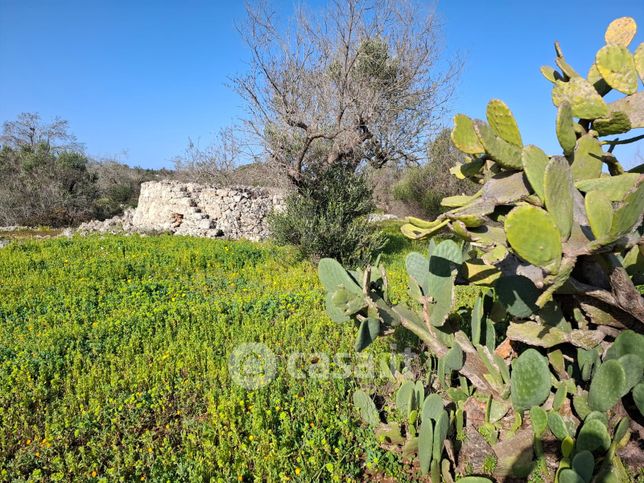 Terreno agricolo in commerciale in Contrada Don Cirillo 60