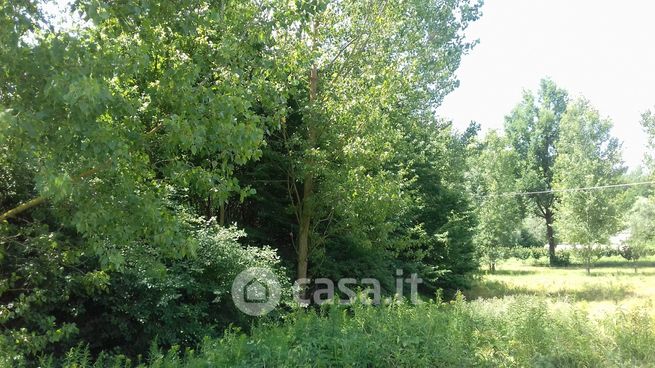 Terreno agricolo in commerciale in Strada Provinciale 30c