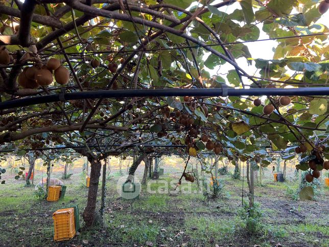 Terreno agricolo in commerciale in Via di Valle Caia