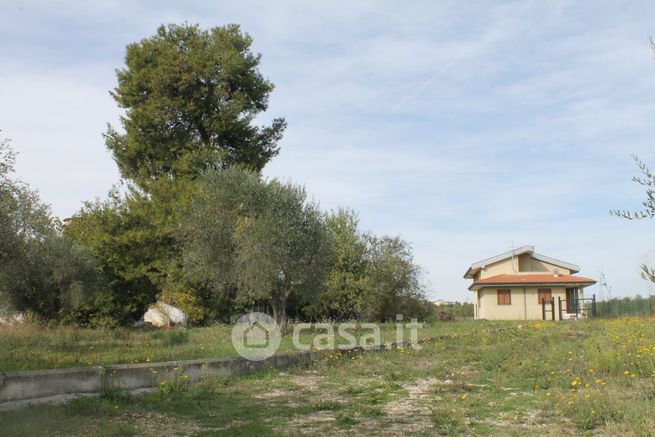 Terreno agricolo in commerciale in Contrada Gallo 28