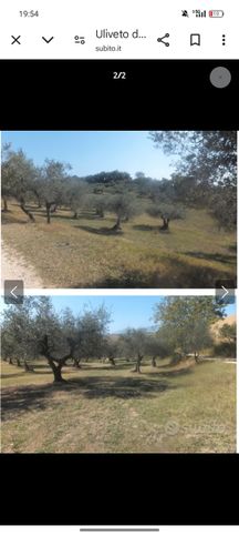 Terreno agricolo in commerciale in Via Malpensa