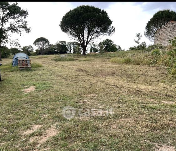 Terreno agricolo in commerciale in Via Olbia 46