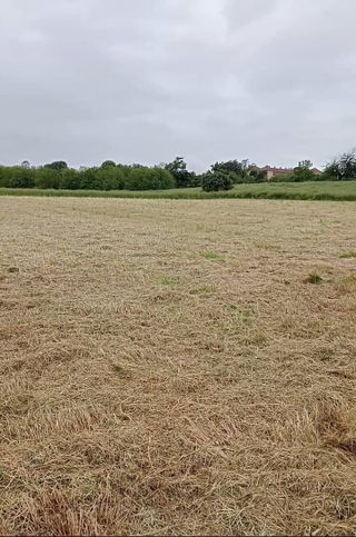 Terreno agricolo in commerciale in Strada Gorree 61