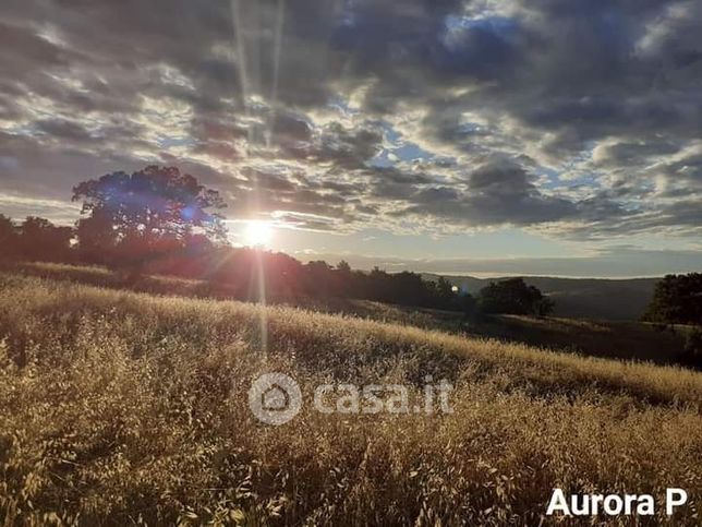 Terreno agricolo in commerciale in Località la conserva  1