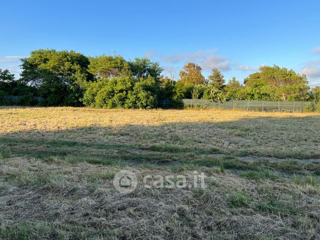 Terreno agricolo in commerciale in 5PVJ+49 Tarquinia, Provincia di Viterbo
