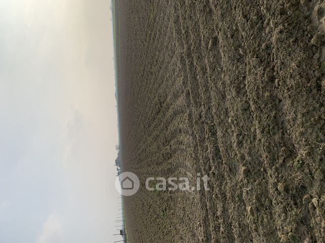Terreno agricolo in commerciale in Località Ca' Garzoni