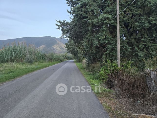 Terreno agricolo in commerciale in Strada Provinciale 104 1