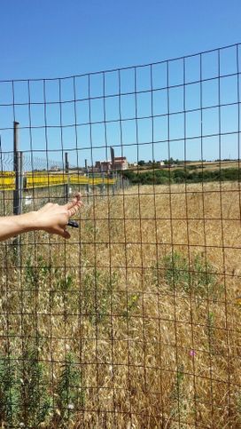 Terreno agricolo in commerciale in Via Li Punti 1