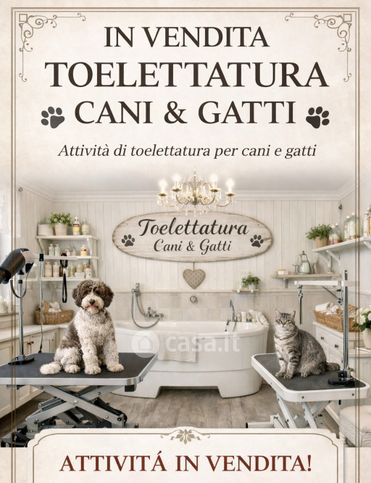 Attivitã /licenza (con o senza mura) in commerciale in 