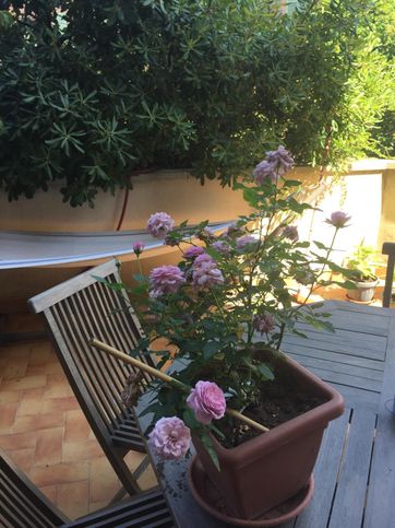 Appartamento in residenziale in Via Aurelio Saffi 83